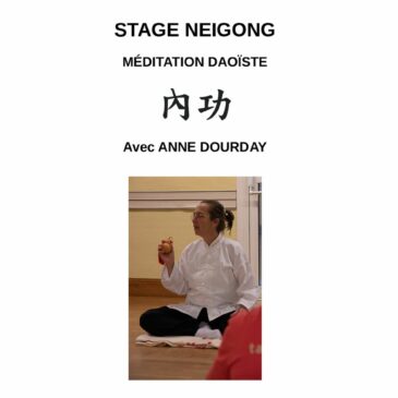 Stage Neigong par Anne Dourday